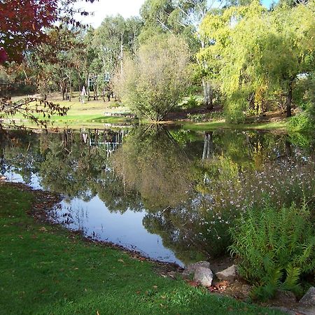 Granite Gardens Cottages & Lake Retreat Stanthorpe Luaran gambar