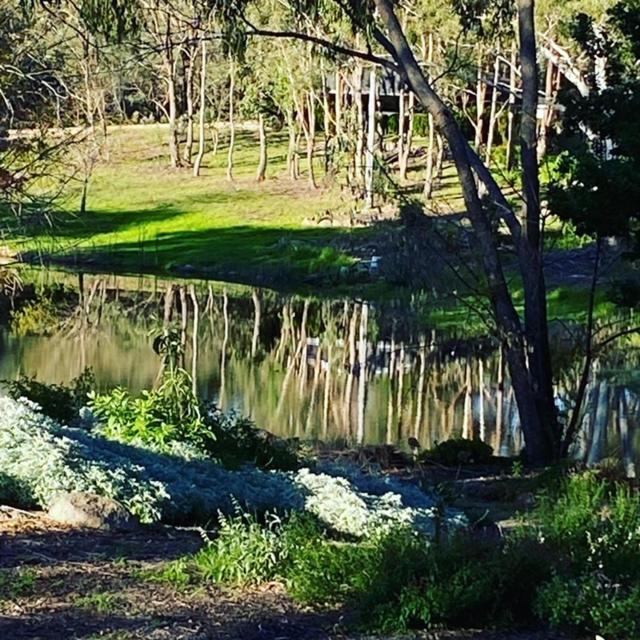 Granite Gardens Cottages & Lake Retreat Stanthorpe Luaran gambar