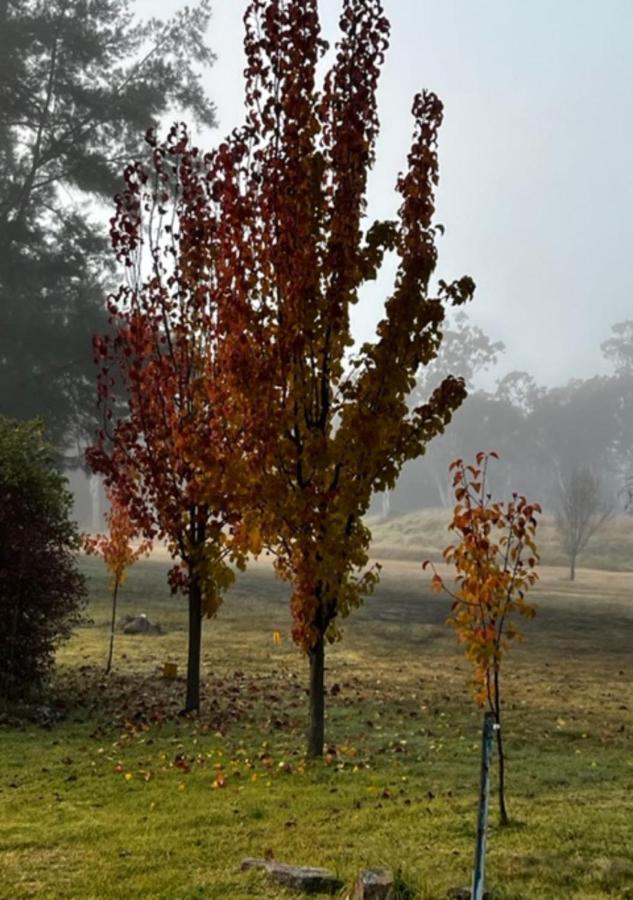 Granite Gardens Cottages & Lake Retreat Stanthorpe Luaran gambar