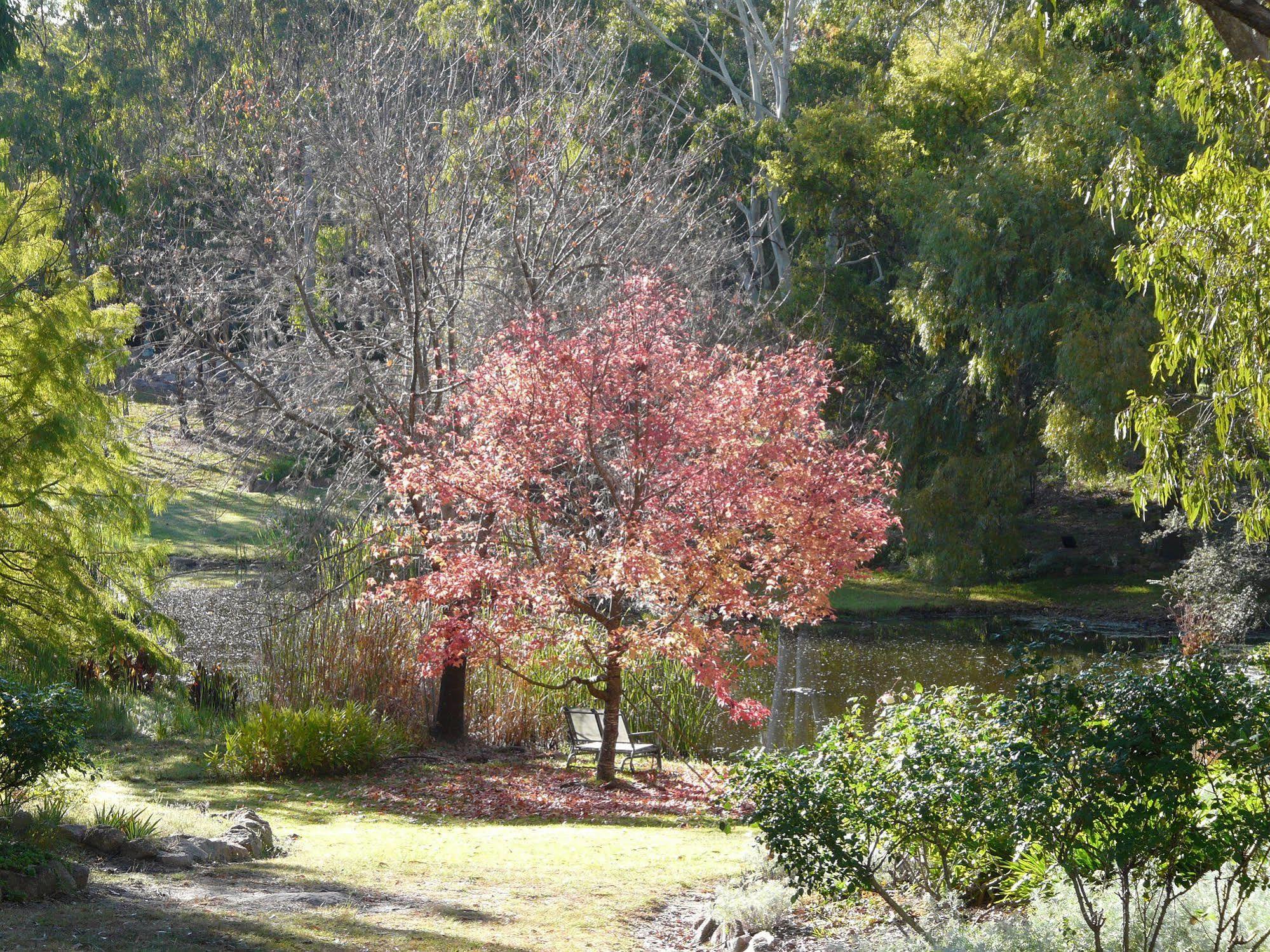 Granite Gardens Cottages & Lake Retreat Stanthorpe Luaran gambar